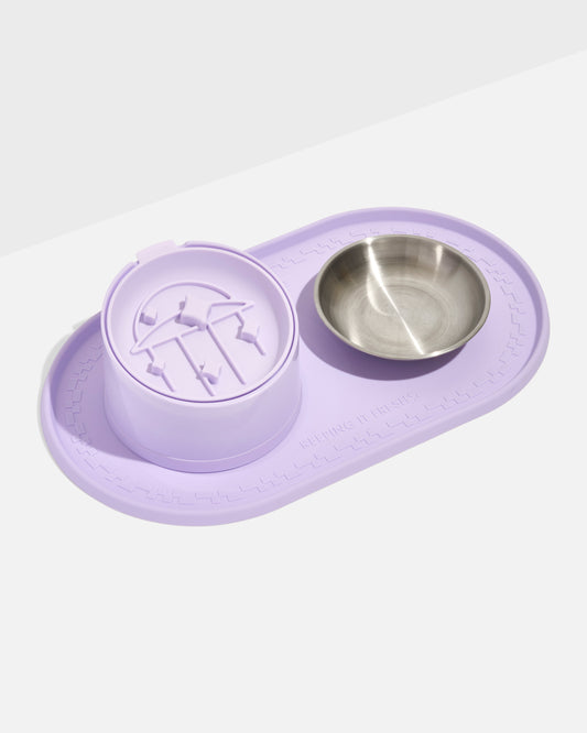 Cat Meal Kit – Lilac | Includes Slanted Bowl, Slow Feeder and Placemat