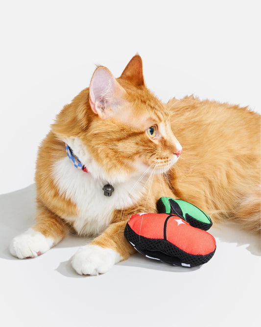 How Often Should You Give Your Cat Catnip? (And Is It Safe?)