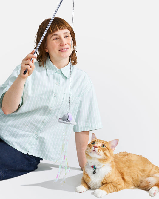 How Much Should Cats Play Each Day?
