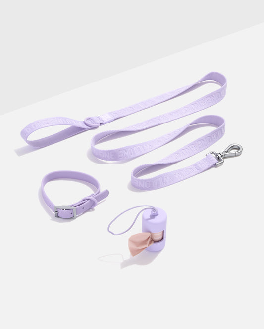Waterproof Collar + Lightweight Leash Walk Kit – Waterproof Collar + Lightweight Leash Walk Kit