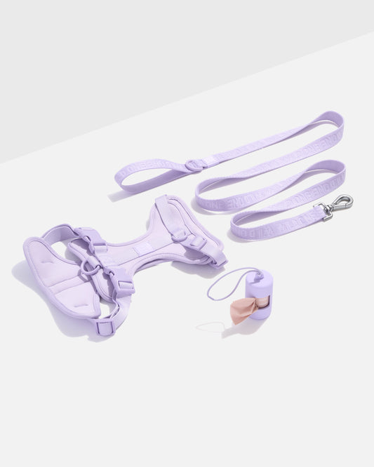 Cushioned Harness + Lightweight Leash Walk Kit – Cushioned Harness + Lightweight Leash Walk Kit