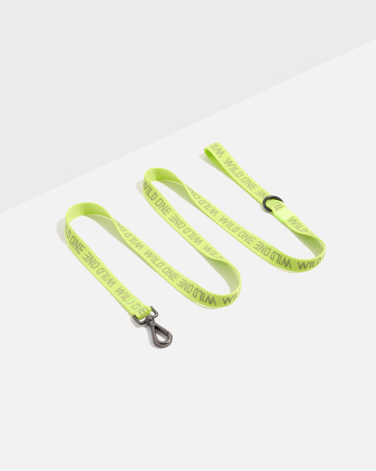 Lightweight Dog Leash – Limeade Reflective