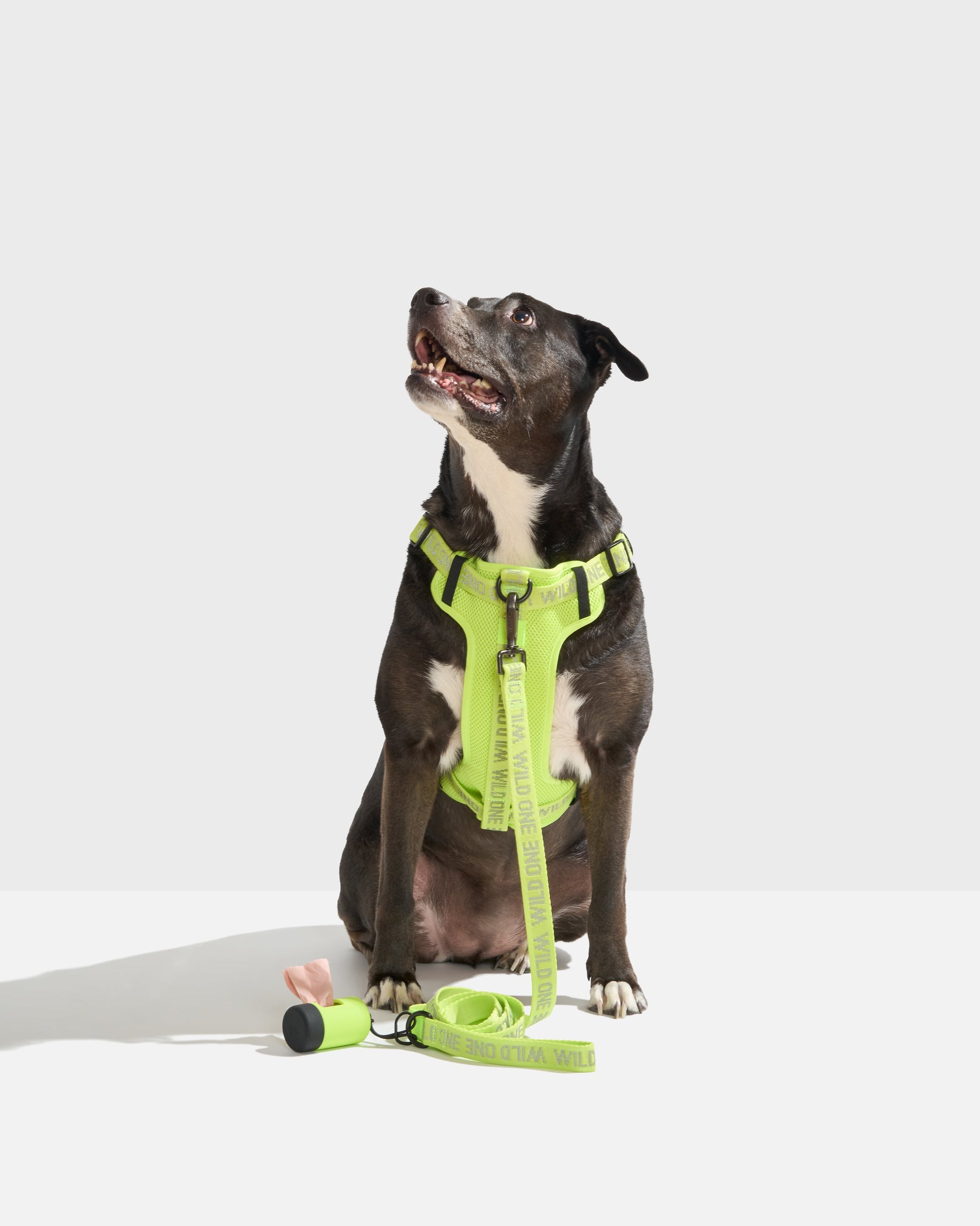 Limeade Reflective