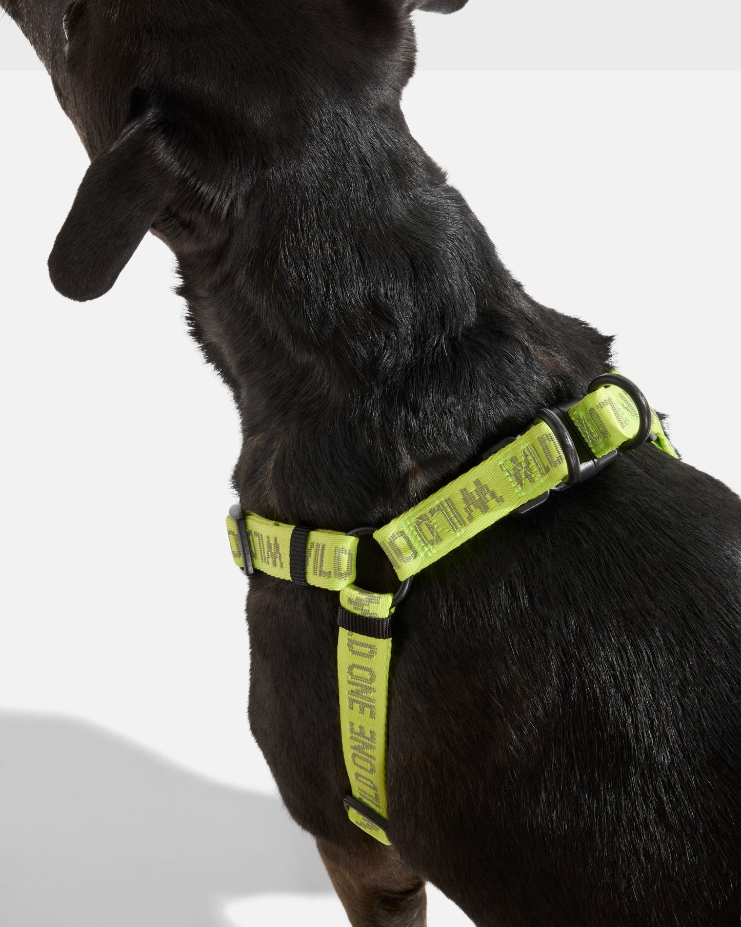 Limeade Reflective