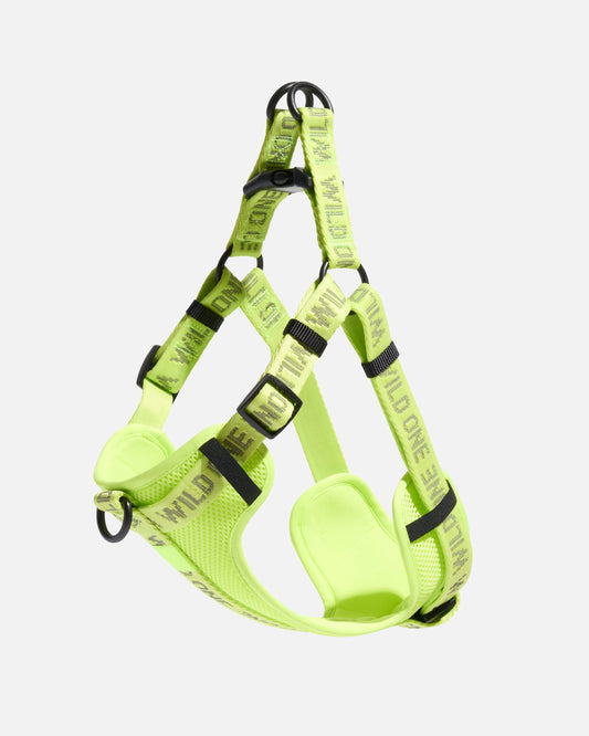 Step-In Dog Harness – Limeade Reflective