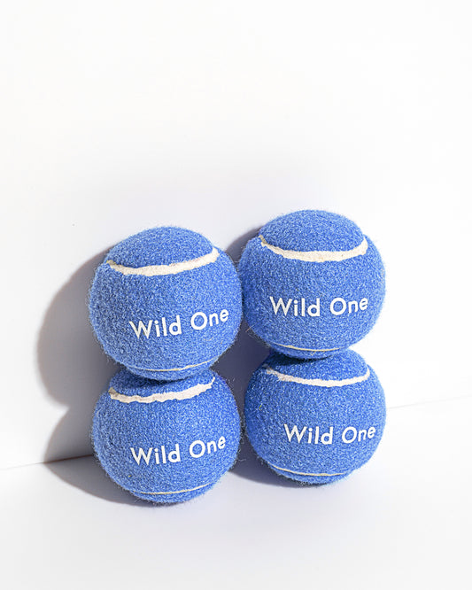 Tennis Balls 4-Pack – Moonstone / Standard
