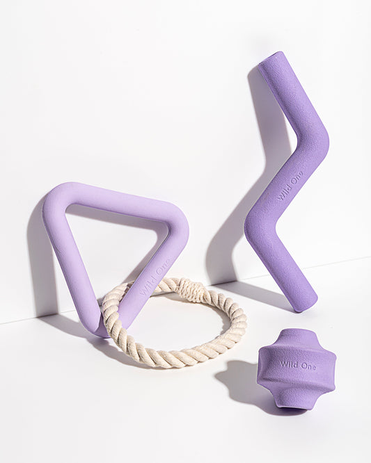Dog Toy Kit – Lilac