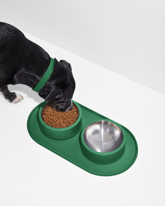 Mealtime Kit – Spruce