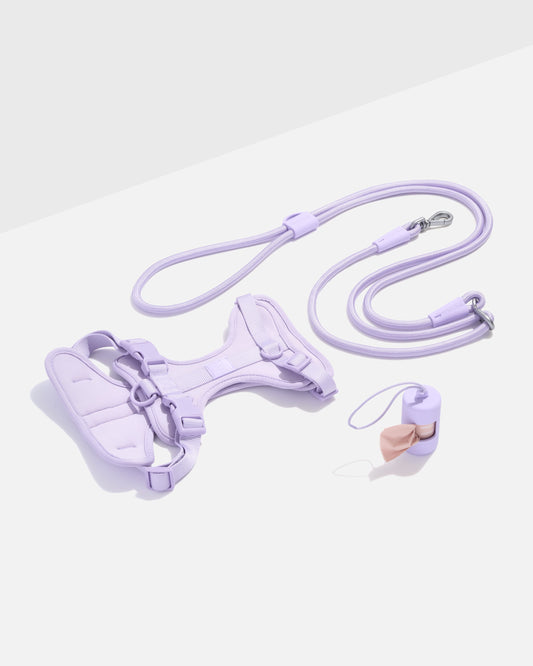 Cushioned Harness + Hands-Free Rope Leash Walk Kit – Cushioned Harness + Hands-Free Rope Leash Walk Kit