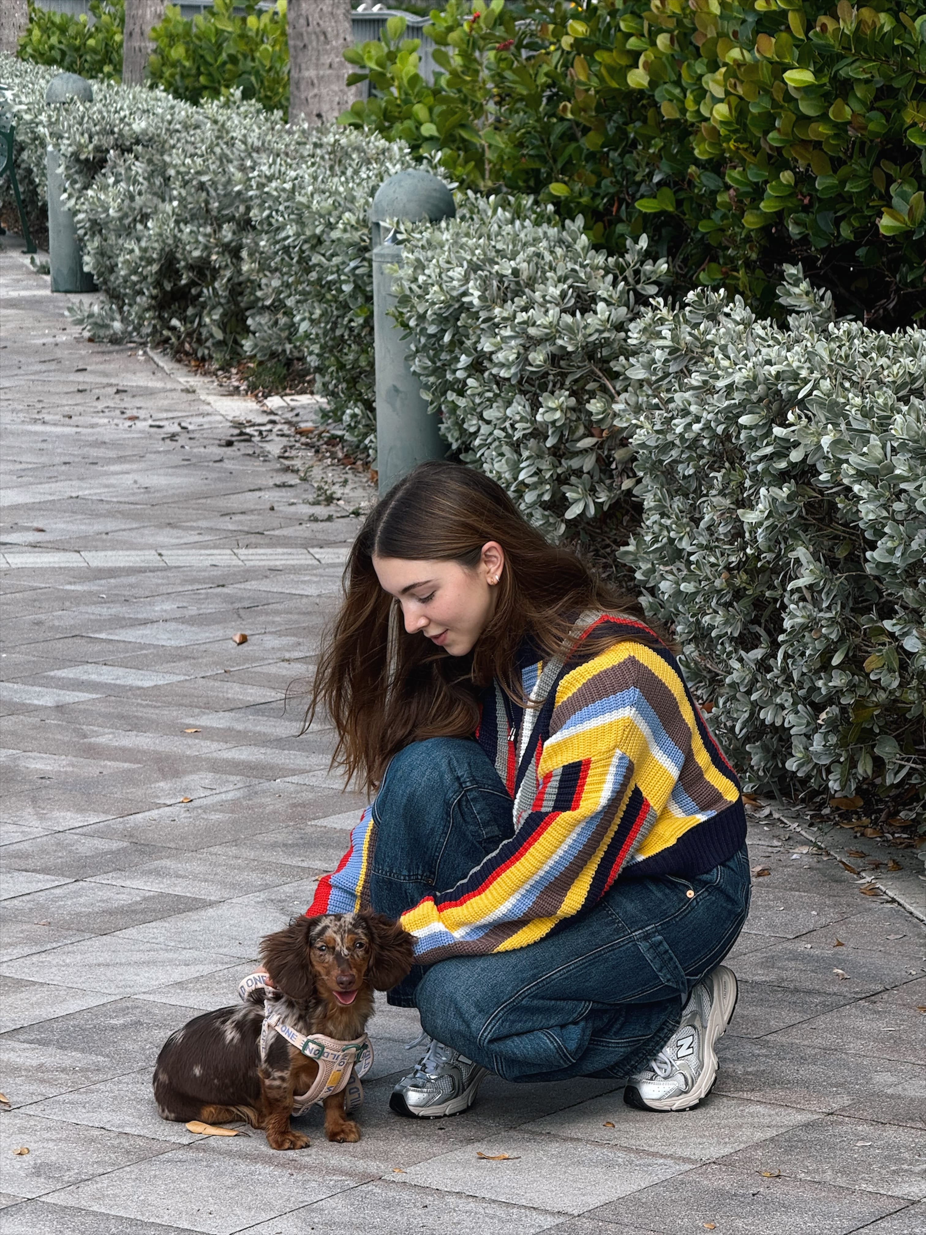 Pink harness being clipped